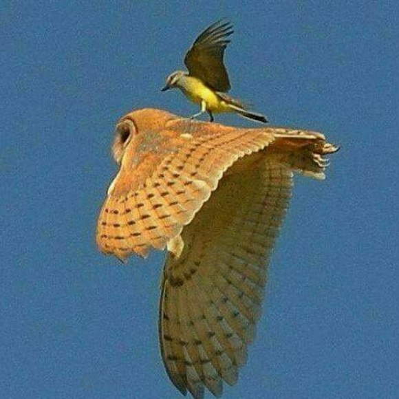 GetAnother25%π₯ByBundlingMyBeauties - Picture 2 of 7